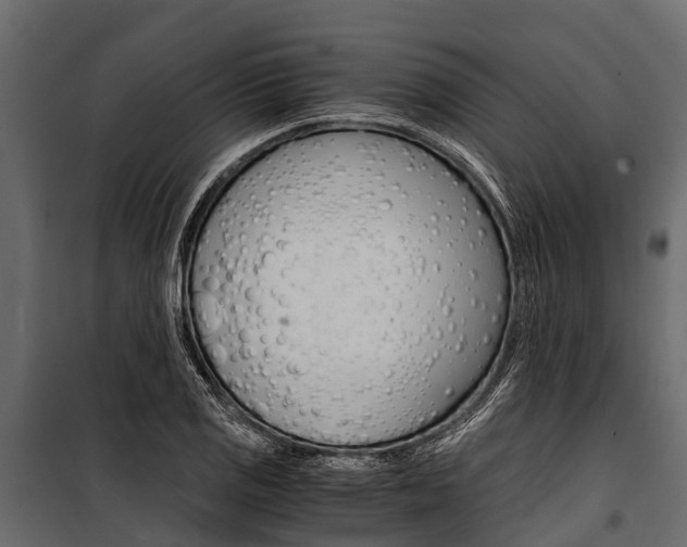 X0000100941125200806241155
