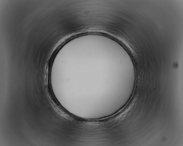 X0000100941126200806241155