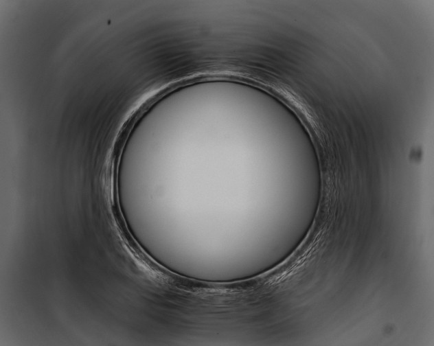 X0000100941127200806241155