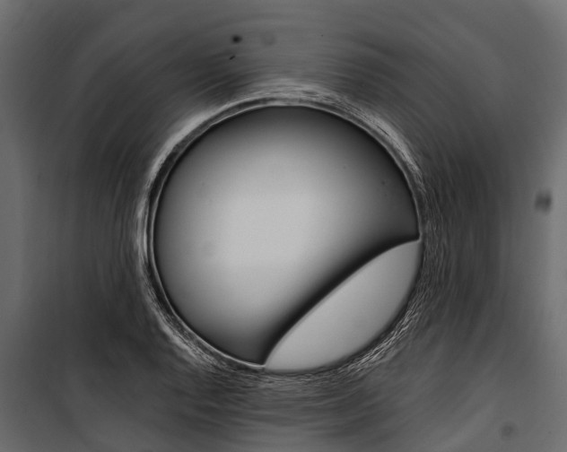 X0000100941128200806241155