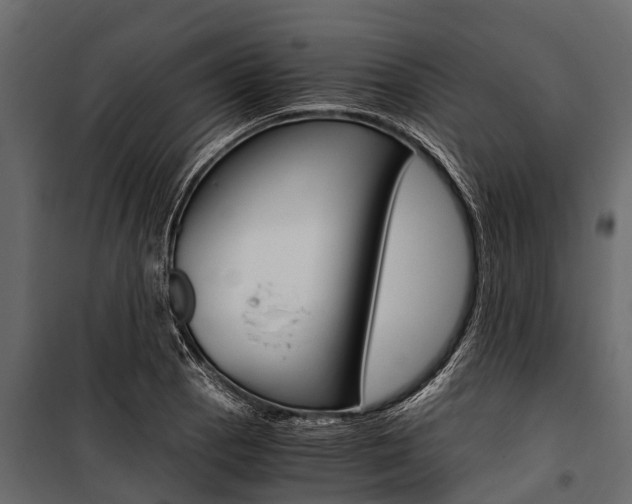 X0000100941129200806241155