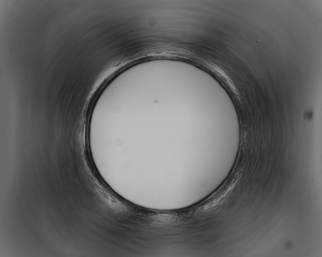 X0000100941130200806241155