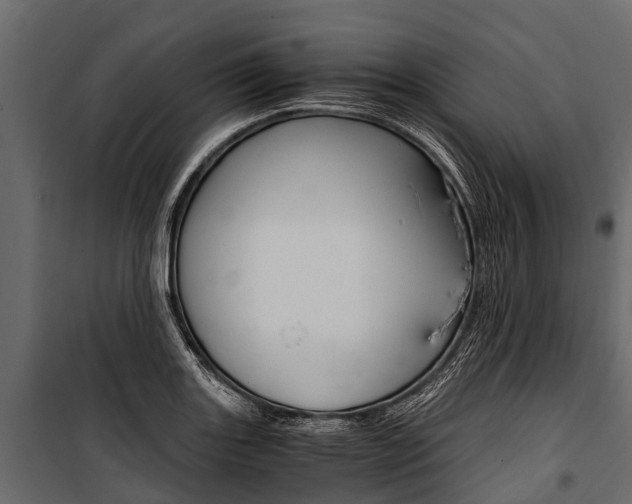 X0000100941131200806241156
