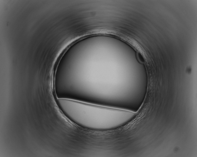 X0000100941132200806241156