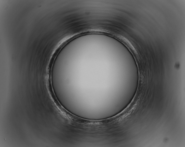 X0000100941133200806241156