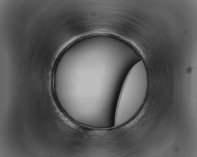 X0000100941134200806241156