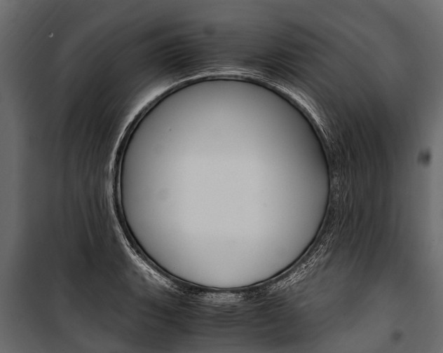 X0000100941135200806241156