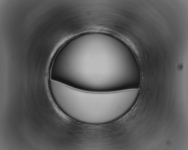 X0000100941136200806241156