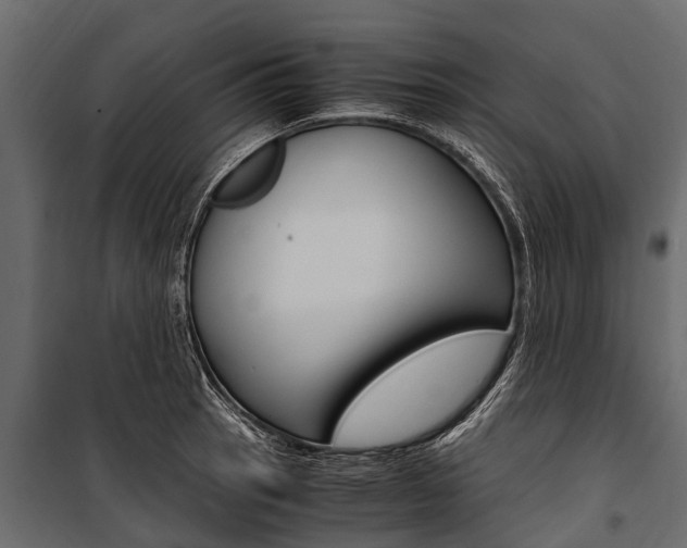X0000100941137200806241156