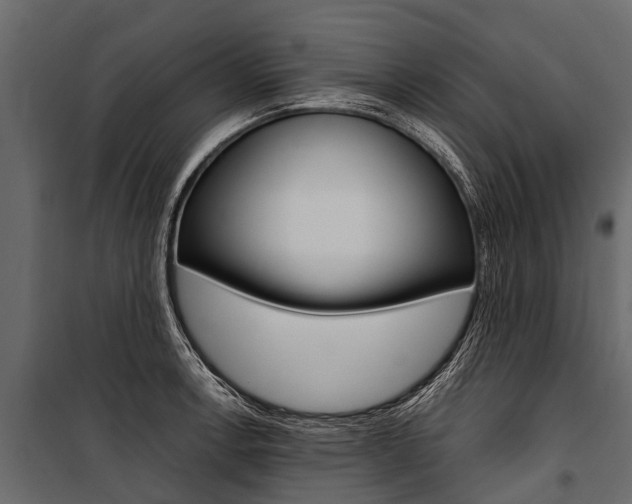 X0000100941138200806241156