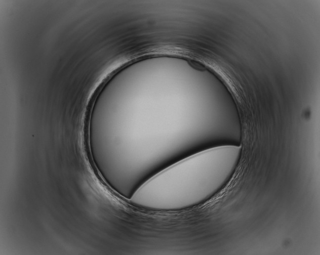 X0000100941139200806241156