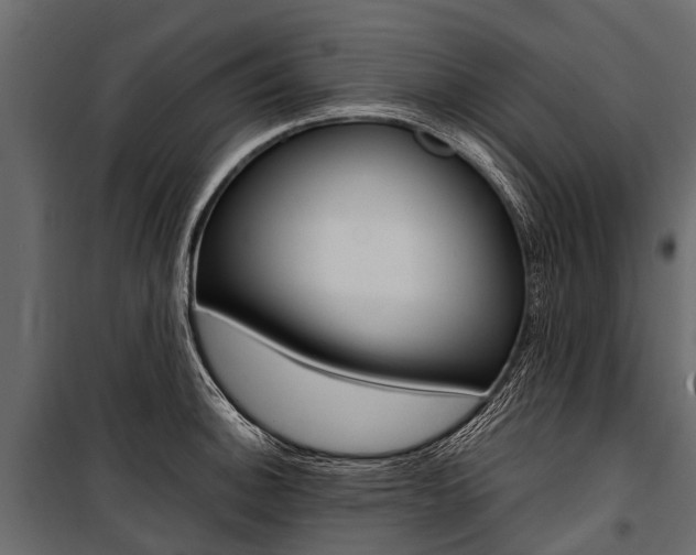 X0000100941140200806241156