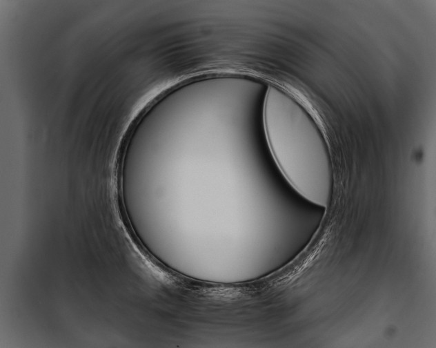 X0000100941141200806241156