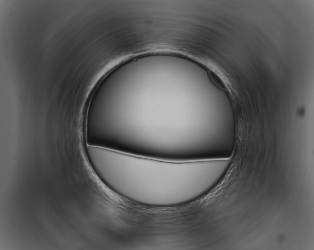 X0000100941142200806241156