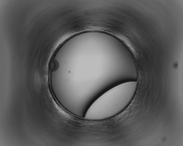 X0000100941143200806241156