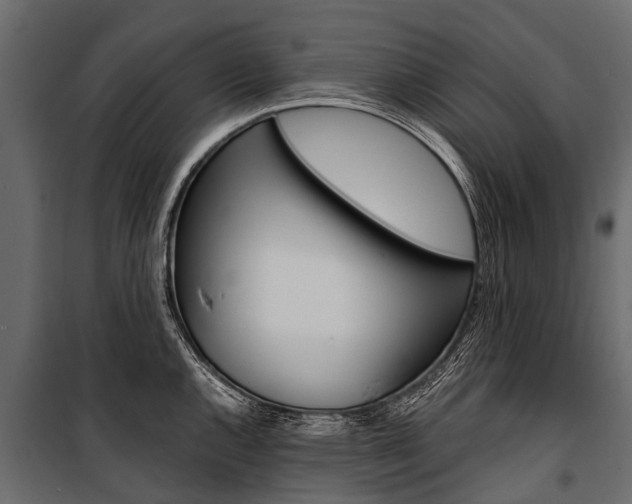 X0000100941144200806241156