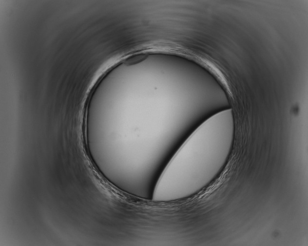 X0000100941146200806241156