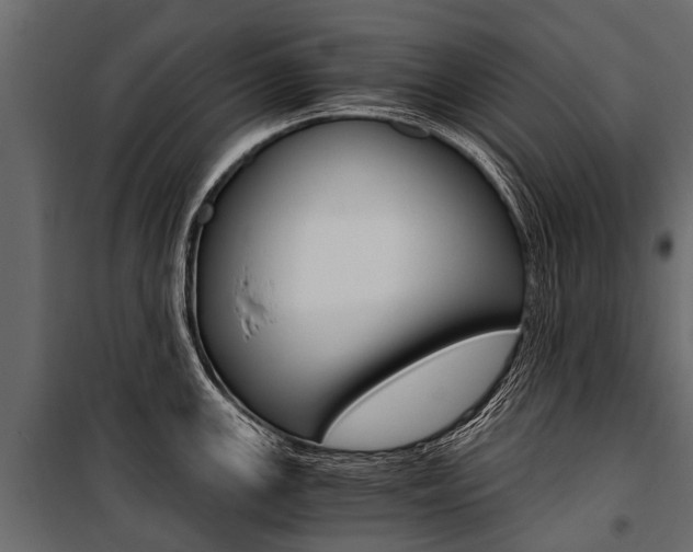 X0000100941147200806241156