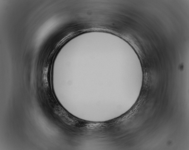 X0000100941150200806241156