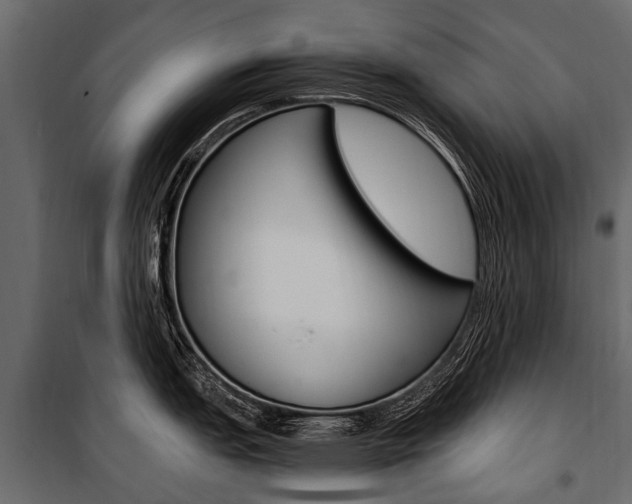 X0000100941151200806241156