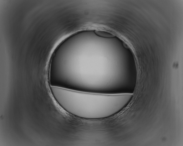 X0000100941152200806241156