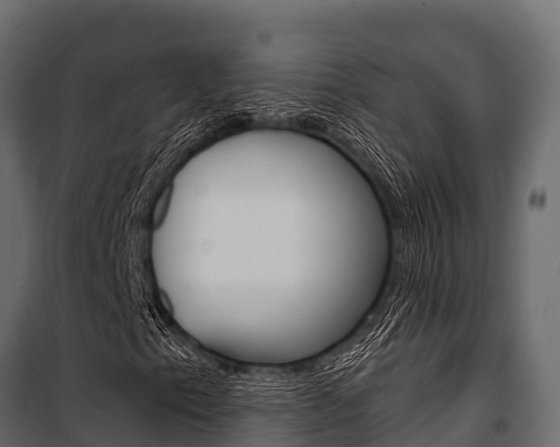 X0000100941153200806241155