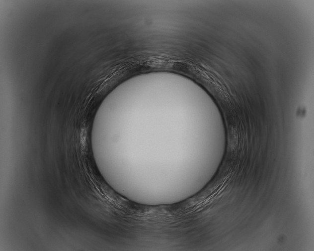 X0000100941154200806241155