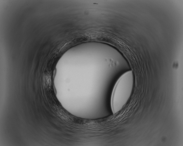X0000100941155200806241155