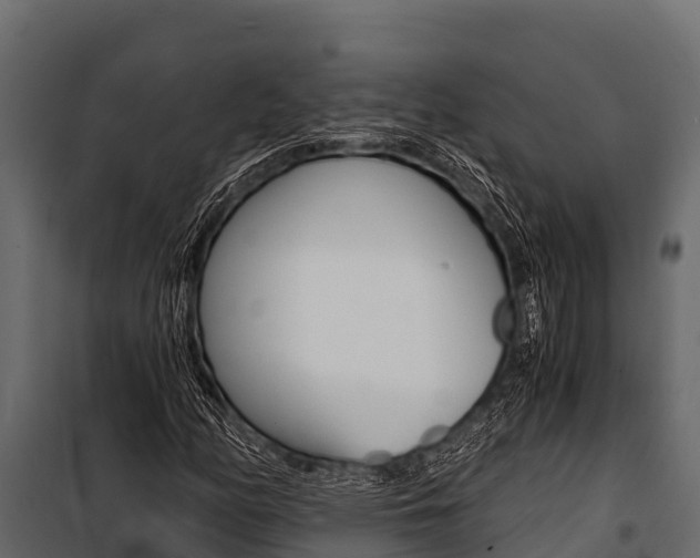 X0000100941158200806241155