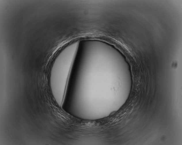 X0000100941160200806241155