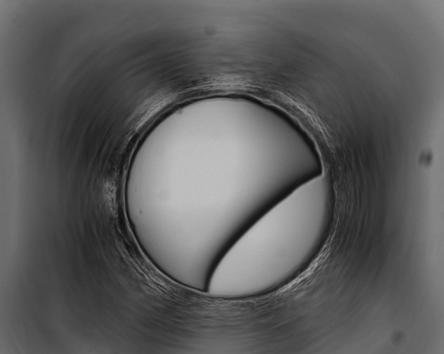 X0000100941162200806241155
