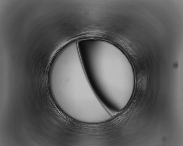 X0000100941164200806241155