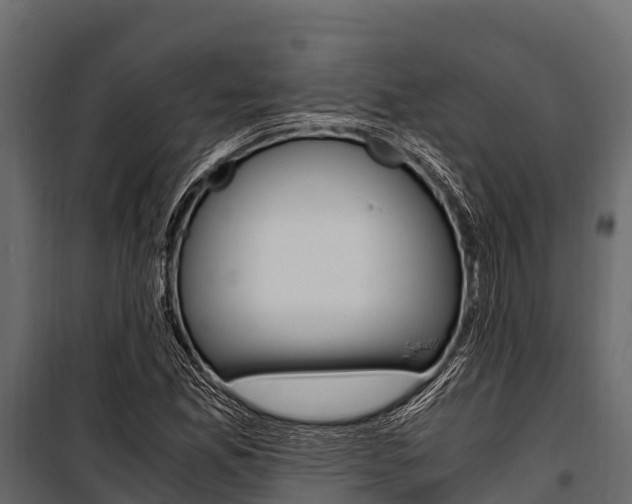 X0000100941165200806241155