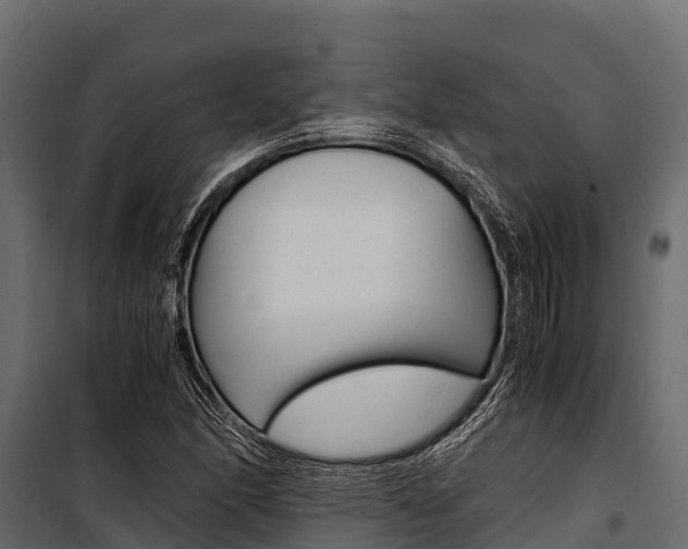 X0000100941166200806241155