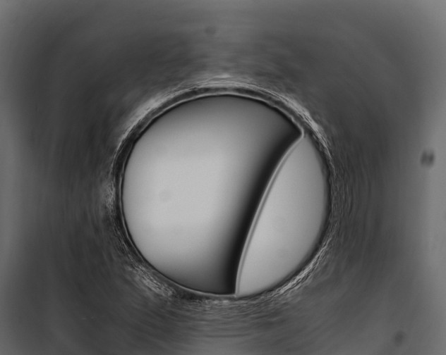 X0000100941167200806241155