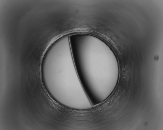 X0000100941168200806241155