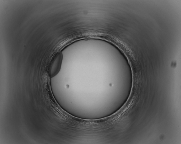 X0000100941169200806241155