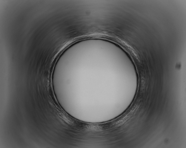 X0000100941170200806241155