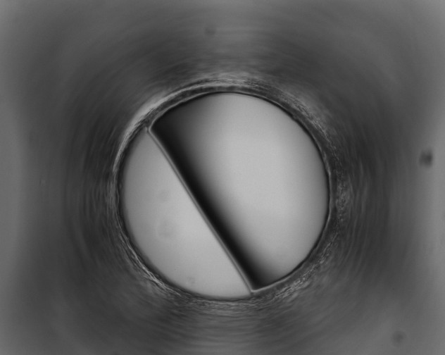 X0000100941172200806241155