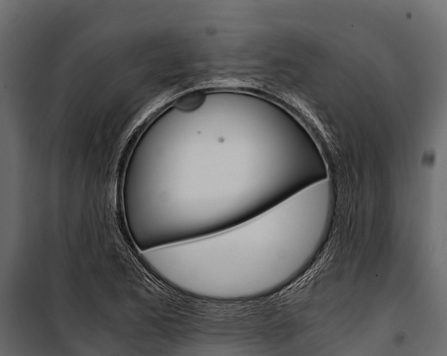 X0000100941173200806241155
