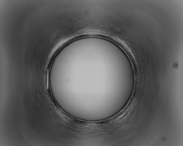 X0000100941175200806241155