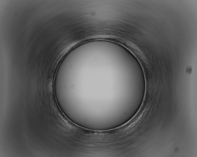 X0000100941177200806241155