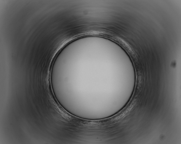 X0000100941178200806241155