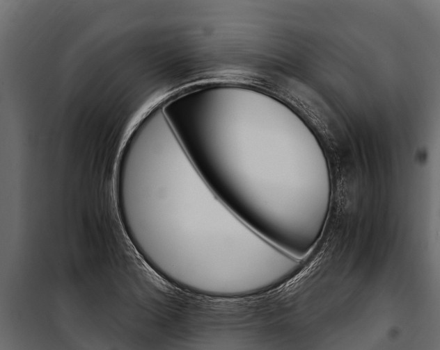 X0000100941180200806241155