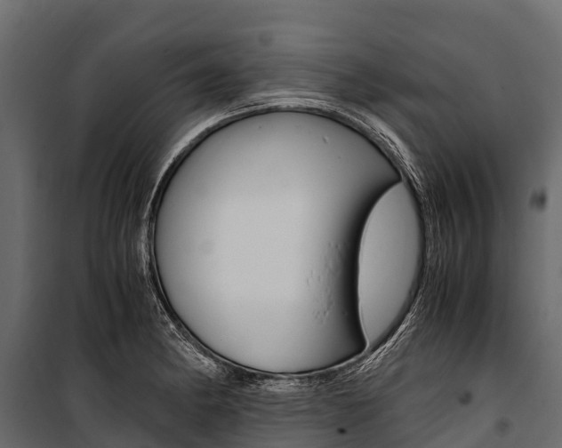X0000100941182200806241155