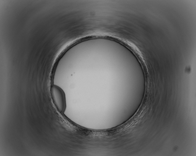 X0000100941183200806241155