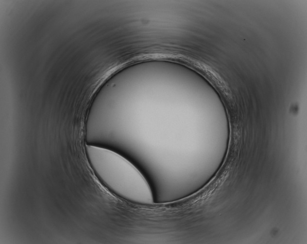 X0000100941185200806241155