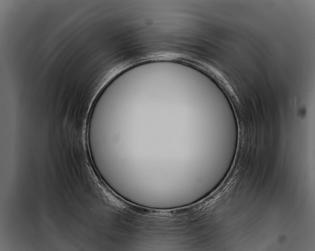 X0000100941186200806241155