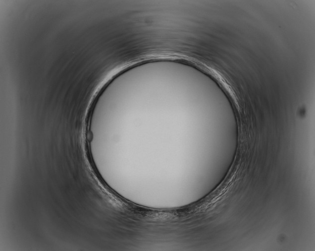 X0000100941187200806241155