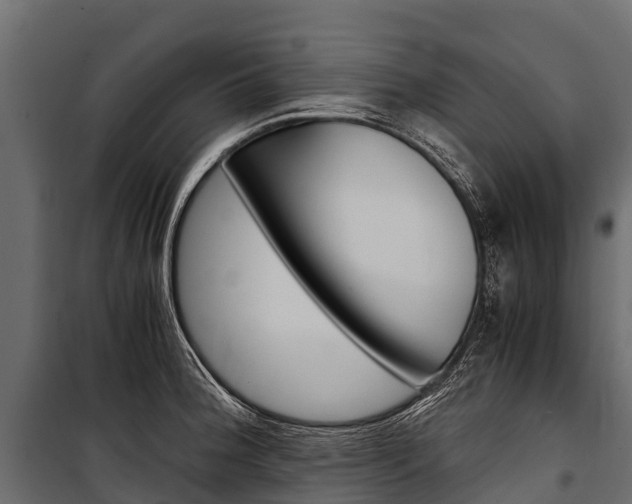 X0000100941188200806241155